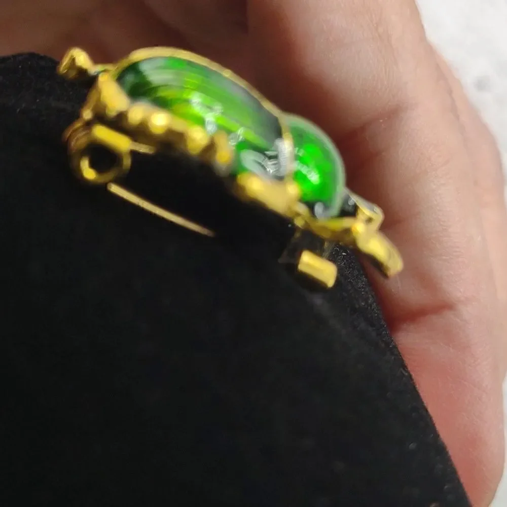 Beetle Brooch Pin.  P1